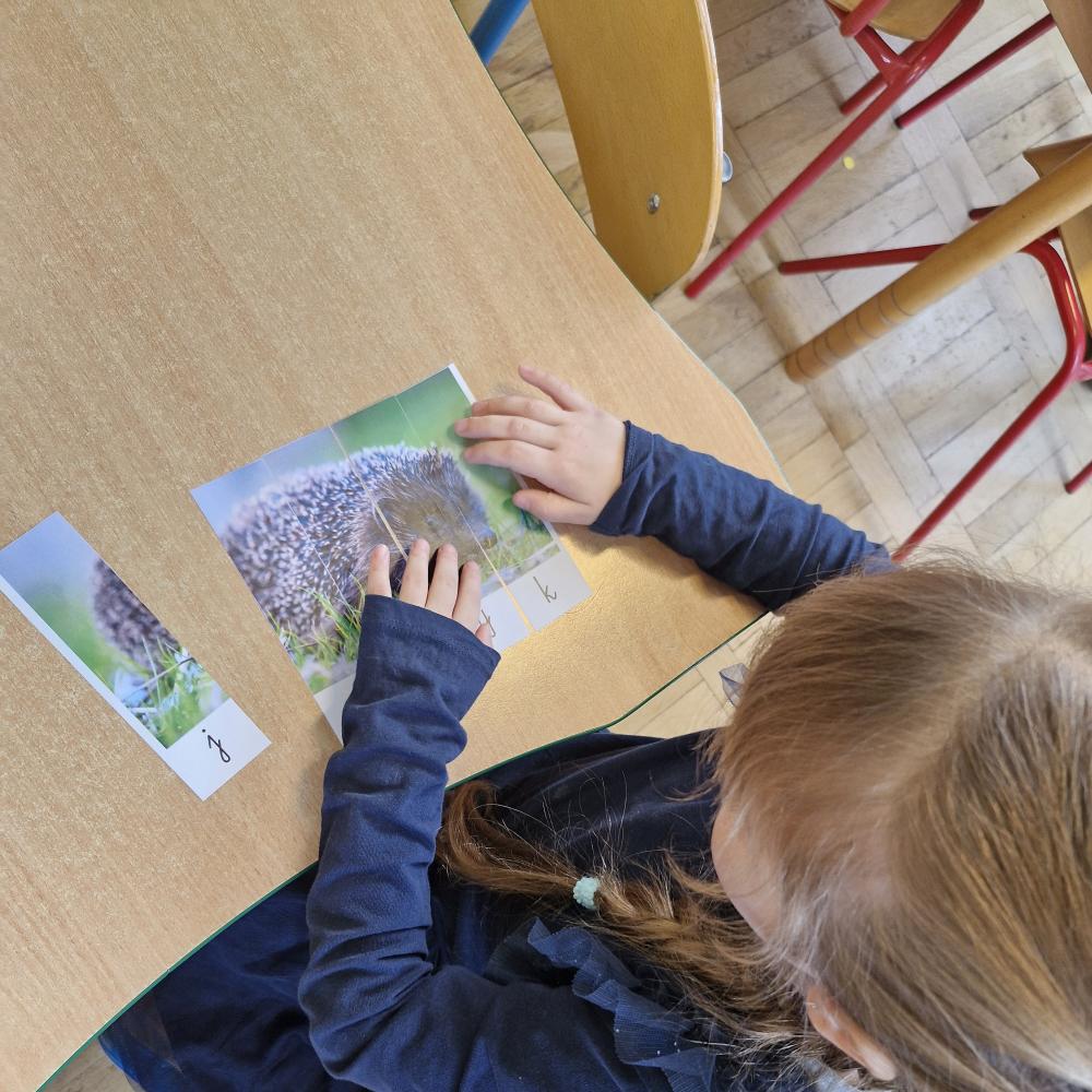 Ogólnopolski Projekt Edukacyjny BabyPoint