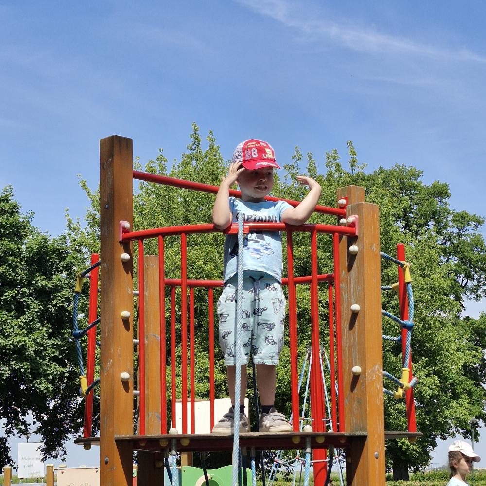 Lody, lody dla ochłody
