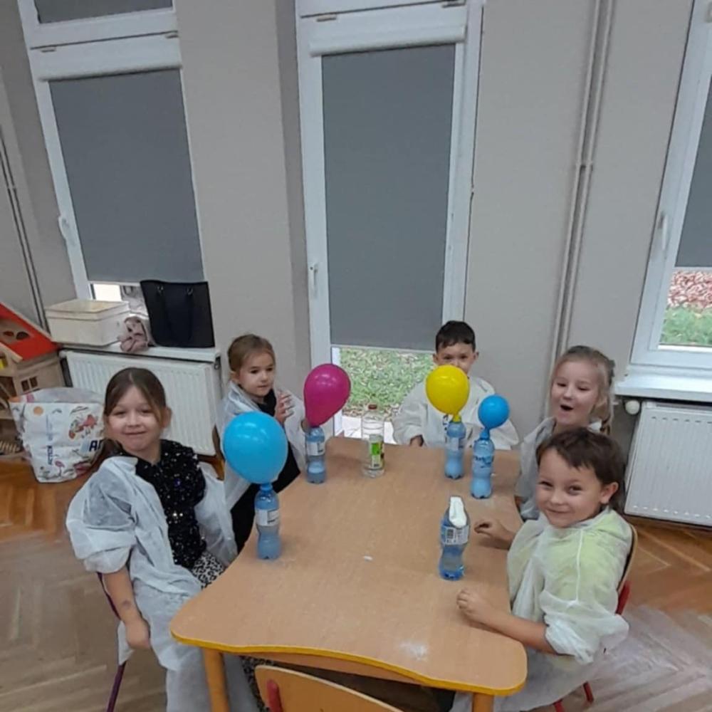 Kłapouszki eksperymentują